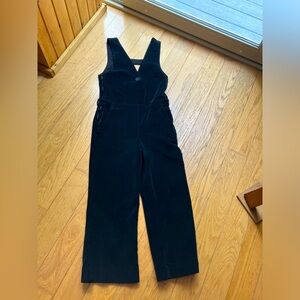 Free People velvet overalls